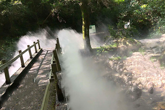 生态园林喷雾造景解决方案